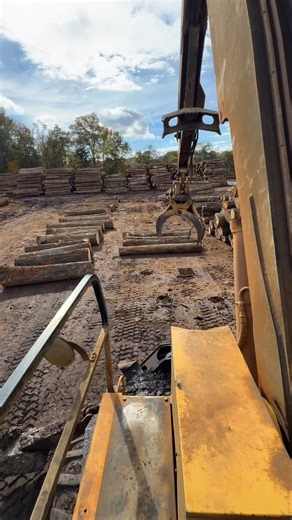 Let’s go for a ride on the Knuckleboom! Today we’re sorting red oak, walnut, ash, white oak, and poplar into stacks on our log yard 🪵 #ProducedinTennessee | Thompson Appalachian Hardwoods