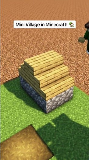 🏡 Mini Village Biome in Minecraft! #shorts