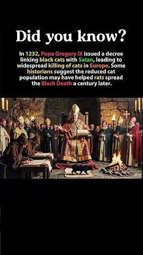 Did a Medieval War on Cats Help the Black Death?