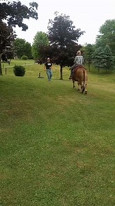 11K views · 352 reactions | What a beautiful day for a ride. Rover's mama made the trip from Florida to visit her baby and ride him for the first time. It was a WONDERFUL visit. Sorry for the long video, there was so much good stuff we couldn't leave anything out  She even took Gus the Brahman for a stroll (wait till the end). | Diamond W Saddle Cattle | Facebook
