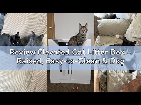 Review Elevated Cat Litter Box – Raised, Easy-to-Clean & Dog-Deterring Litter Box for Seniors, Arthr