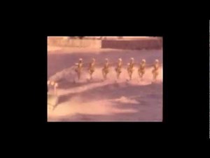 American History - 1971 - Cypress Gardens Famous Water Ski Show