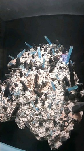 Exploring the Denver Museum of Nature and Science