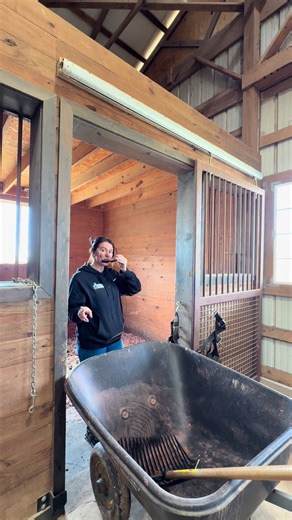 Horse Stall Cleaning Tips for Barn Life