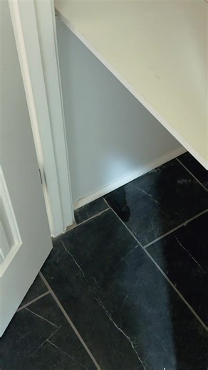 The Home Inspector, CMI® (@inspector_aj)’s videos with original sound - The Home Inspector, CMI®