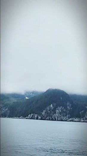 Cold Waters of Alaska | Холодные воды Аляски🌊 #wildlife #nature