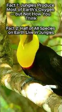 “5 Extraordinary Jungle Facts You Won’t Believe” #JungleFacts #RainforestSecrets #NatureDiscovery