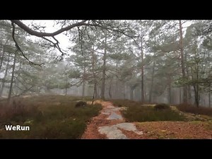 Enigma - Why (ExBlack Remix) | WeRun