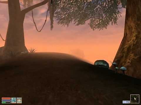 Morrowind A Falling Wizard