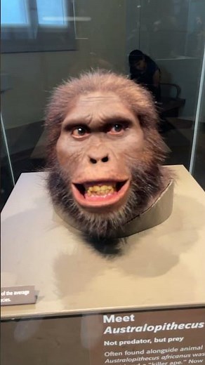 Australopithecus Africanus!