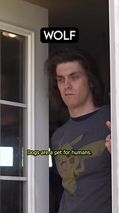 3.7M views · 129K reactions | A Dog Converts a Wolf! formet #dogbreeds #dogbreed #breeds #dogowners #dogvideo #dogoftheday #doglife #BabyDoge #funnydogs #dogs #God #ilovedogs #dogslife #doggo #doggie | Jonny Devaney Performances | Facebook