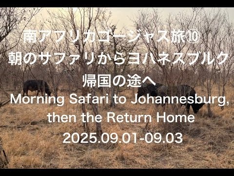 【南アフリカゴージャス旅⑩/Gorgeous South African Trip】〜朝のサファリからヨハネスブルク、帰国の途へ〜
