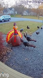 Future Home on Reels