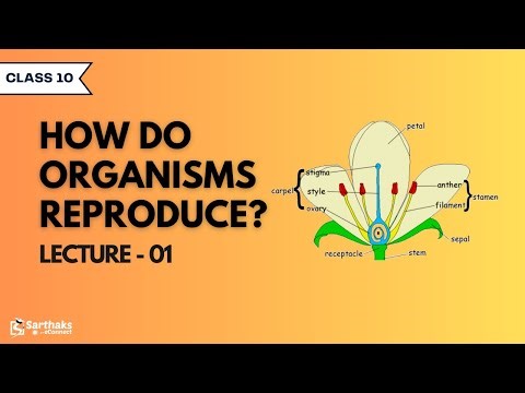 How do Organisms Reproduce? L1 | NCERT Class 10 Science