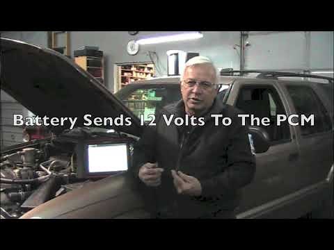 Teach Yourself Series MAF Code P0101 Part 1