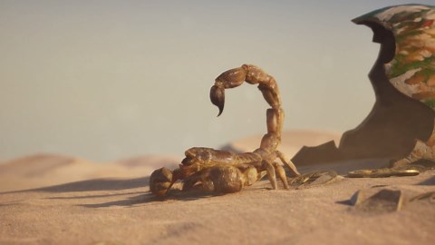 Blood Message - Official Reveal Trailer