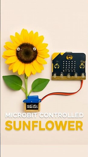 How to Build a Micro:bit Controlled Sunflower | STEM Project for Kids | RoboticSchools