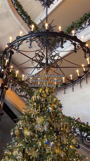 7.1K reactions · 472 shares | This tree was inspired by the religious themes of a tapestry that hangs on the first landing of the Grand Staircase, which also happens to be one of the oldest pieces in the Biltmore Collection ⭐ Come see the over 35 Christmas Trees in Biltmore House for yourself this season! Plan your visit: https://bit.ly/3Jedzvo | Biltmore | Facebook