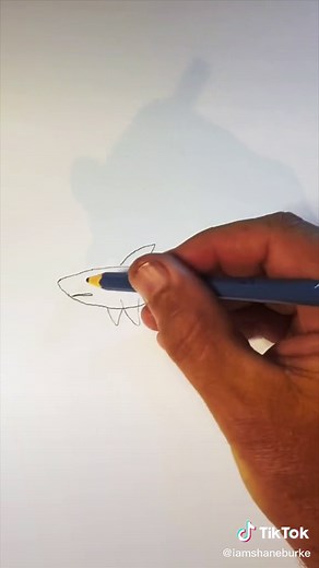 How to Draw a Shark Step by Step Guide