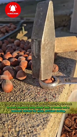 DIY Nutcracker Hack! 🔧🌰 Crack Hazelnuts with a Wrench & Hammer! #shortsfeed
