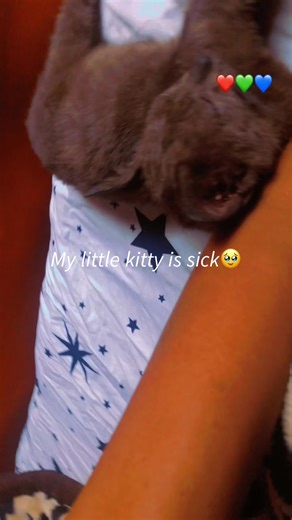 Lilrach (@eposimotomby)’s videos with original sound - Mell