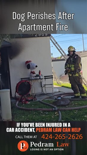 At approximately 10:10 a.m. on December 10th, 2025, the City of Riverside Fire Department responded to an apartment fire in the 2900 block of Canyon Crest Drive in Riverside. Firefighters arrived to find a fire originating from the kitchen of an apartment unit. Crews conducted an aggressive fire attack along with a primary search and were able to keep the fire contained to the unit, preventing it from spreading to adjacent apartments. During the incident, firefighters rescued a dog from the apar
