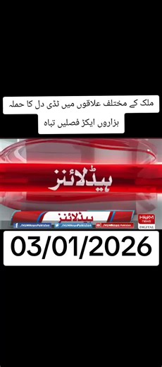 Locust Attack Destroys Crops Across Different Regions