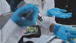 testing a plant sample in a biochemical science laboratory. a scientist studies the genetics of plants