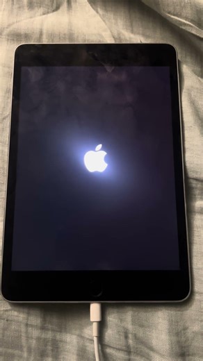 iPad mini 4 (J96AP) booting iPadOS 16.0 beta 2