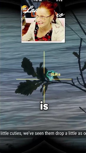 MINK are LIGHTNING FAST in SCOTLAND!!! (Early Access)