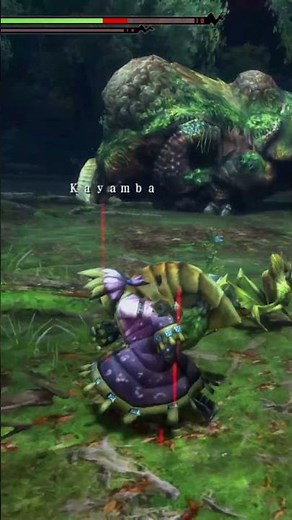 Slaying vs Capturing - Monster Hunter 3 Ultimate
