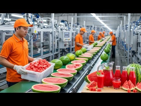 Inside a Watermelon Juice Factory | From Fresh Watermelons to Bottled Juice (Full Process)