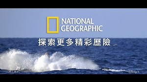 6.7K views · 425 reactions | 【倒數2日】Disney+...