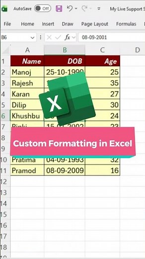 Custom Formatting in MS Excel