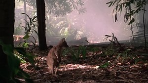 Joey (1997) 1080p Lex