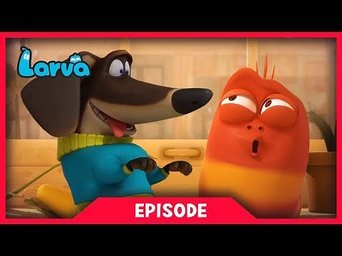 LARVA - LARVA AND THE DOG | Cartoon Movie | Cartoons | Comics | Larva Cartoon | LARVA Official