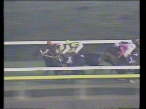 2001 日本杯 - Jungle Pocket