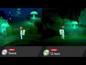 Snore & U-Turn TM Locations (Glimwood Tangle) - Pokemon Sword & Shield