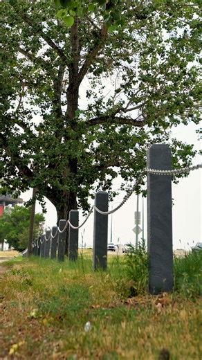 93K views · 315 reactions | Our barrier posts are made from recycled plastic, which means they are: -waterproof -resistant to rot -resistant to insect damage -don’t crack or split Learn more about our products on our website. | Full Circle Plastics Ltd. | Facebook