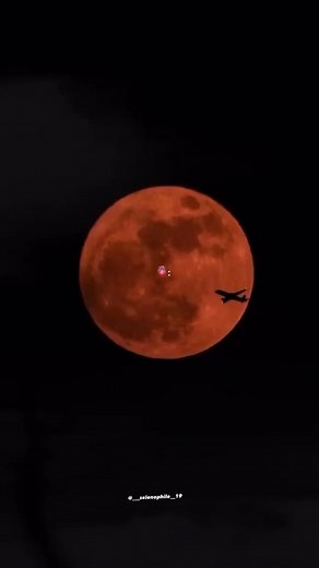 🥰 | Moon Lover