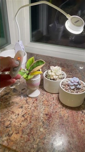 WATCH Before! Love these features, Indoor Grow Light, Sansi! SANSI Grow Lights