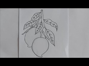How to draw a mango | Step by step - pencil sketch drawing for beginners ‪@creativespot793‬