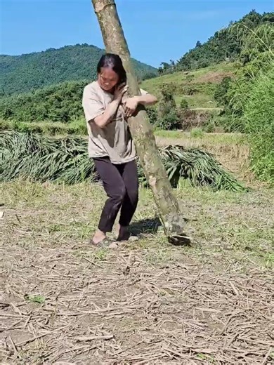 Building with Bamboo | A Small Home Construction Process #please_subscribe_my_channel