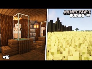 La FERME à MOUTONS et les grands CHAMPS de BLÉ ! -Minecraft survie 1.18 #16-
