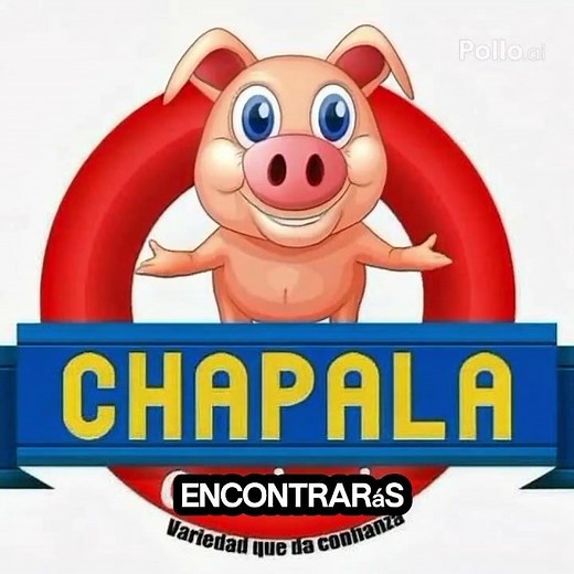 Carnicería Chapala en Papantla Veracruz