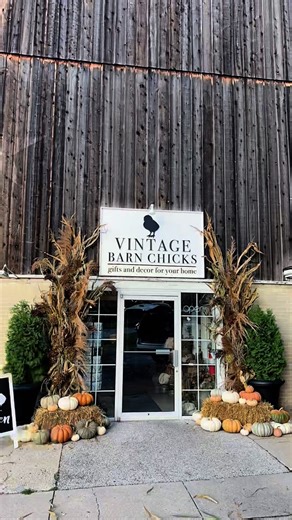 Vintage Barn Chicks on Instagram: "🍂The barn is bursting with all things FALL! 🍂 Step inside and discover our beautiful fall arrivals! We’ve stocked the shop with warm, cozy décor and gifts you’ll love for the season. Stop in Tues-Fri 10–5:30, Saturday 10-5pm & Sunday 12-4pm or shop online anytime at www.vintagebarnchicks.com. #vintagebarnchicks #homedecor #shoplocal #home #shopping #decor #falldecor #interiordesign #trending"