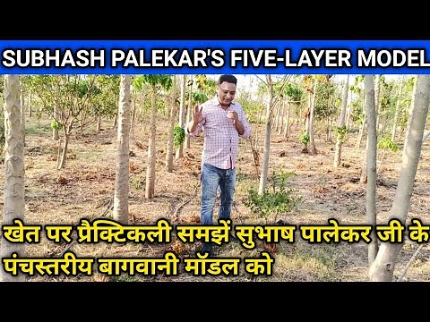 Do's and Dont's of Subhash Palekar 5 Layer Model | | Subhash Palekar Natural Farming |