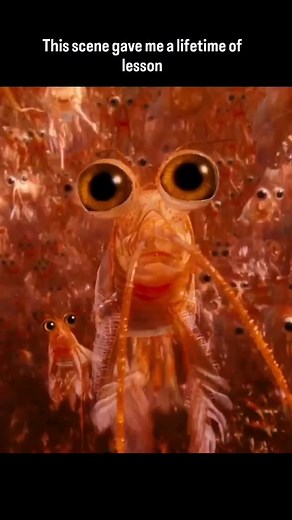 Rare.movie.clips on Instagram: "Happy Feet Two dives deeper into the icy heart of Antarctica, showing how even the smallest steps can spark the biggest changes. It’s charming, musical, and surprisingly profound — a story about unity, resilience, and the power of coming together when everything feels impossible. 🎬 Movie: Happy Feet Two (2011) ⏳ Duration: ~100 minutes 🎥 Director: George Miller 🏛 Production House: Warner Bros. Pictures 📍 Genre: Animation / Family / Musical Synopsis: The film fo