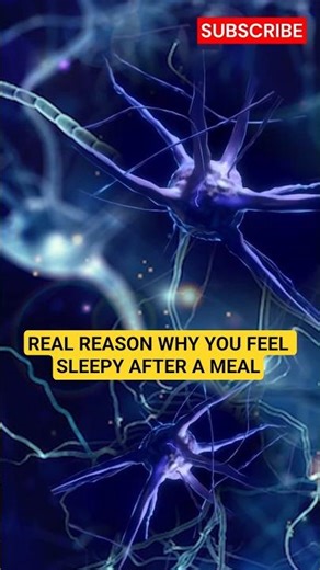 Why You Feel Sleepy After Eating and How to Stop It Permanently