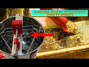 Processing Honey With A Three Frame Honey Extractor Machine | Watch How Its Done
